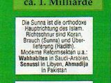 Einführung in die Islamischen Welten